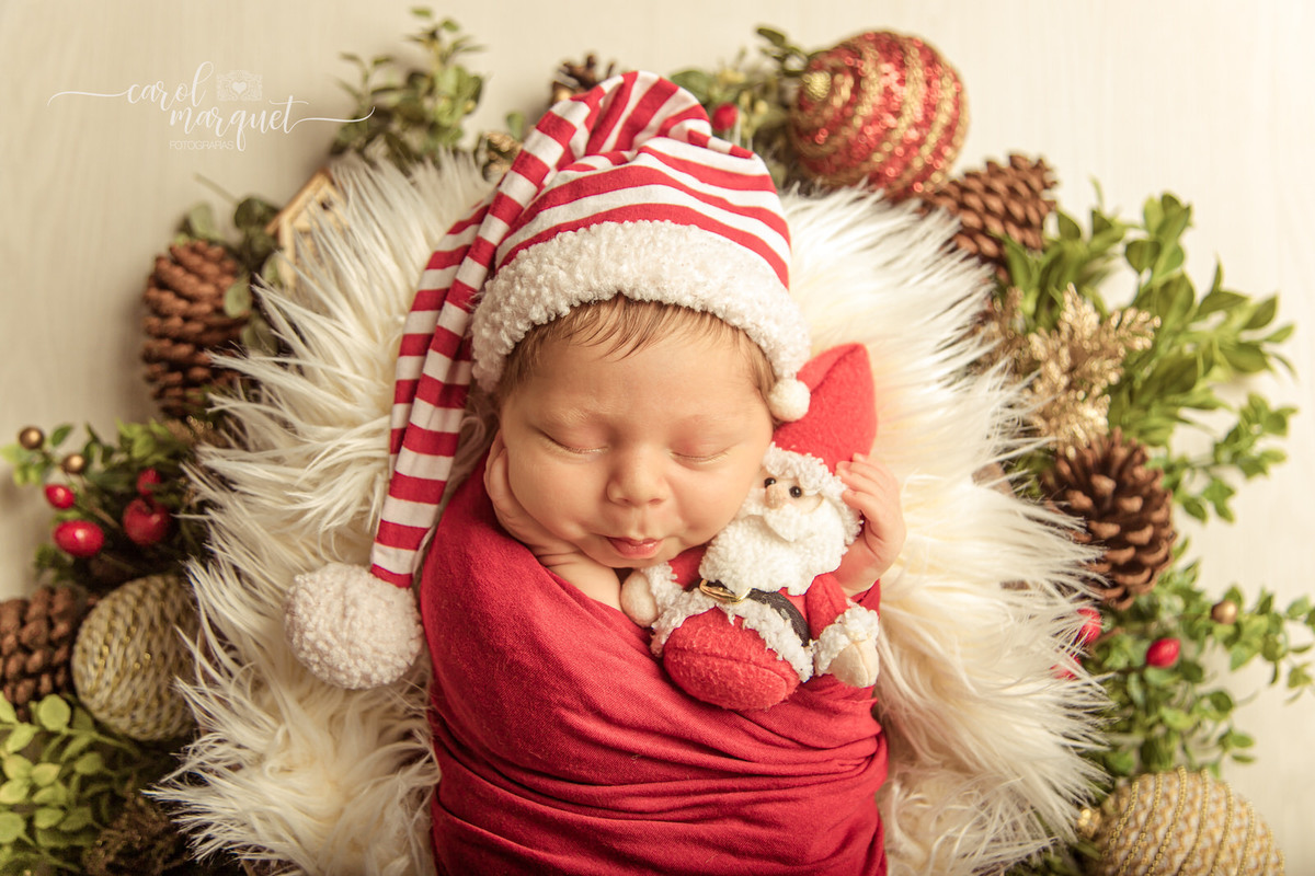 newborn recém nascido bebê neném Natal papai natalino amigurumi coala Niterói Região Oceânica Itaipu Piratininga Rio de Janeiro fotografia ensaio retrato
