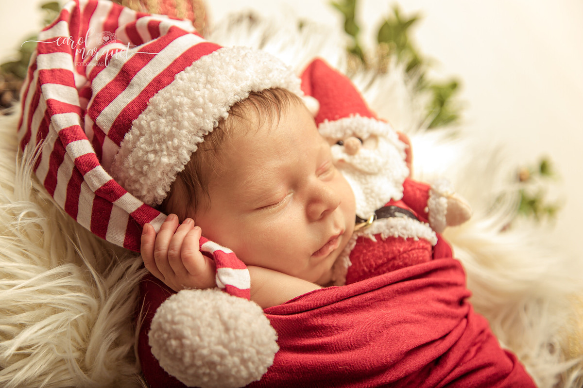 newborn recém nascido bebê neném Natal papai natalino amigurumi coala Niterói Região Oceânica Itaipu Piratininga Rio de Janeiro fotografia ensaio retrato