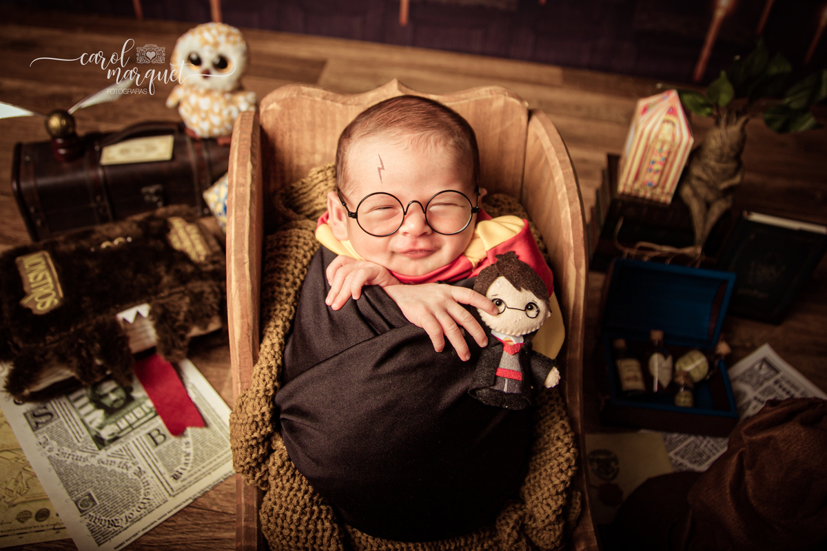 newborn recém nascido harry potter hoghwartz amigurumi lego arca de noé nintendo nerd apple floresta preguiça fotografia retrato ensaio família Niterói Itaipu Região Oceânica Rio de Janeiro