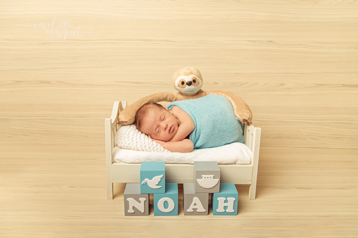 newborn recém nascido harry potter hoghwartz amigurumi lego arca de noé nintendo nerd apple floresta preguiça fotografia retrato ensaio família Niterói Itaipu Região Oceânica Rio de Janeiro