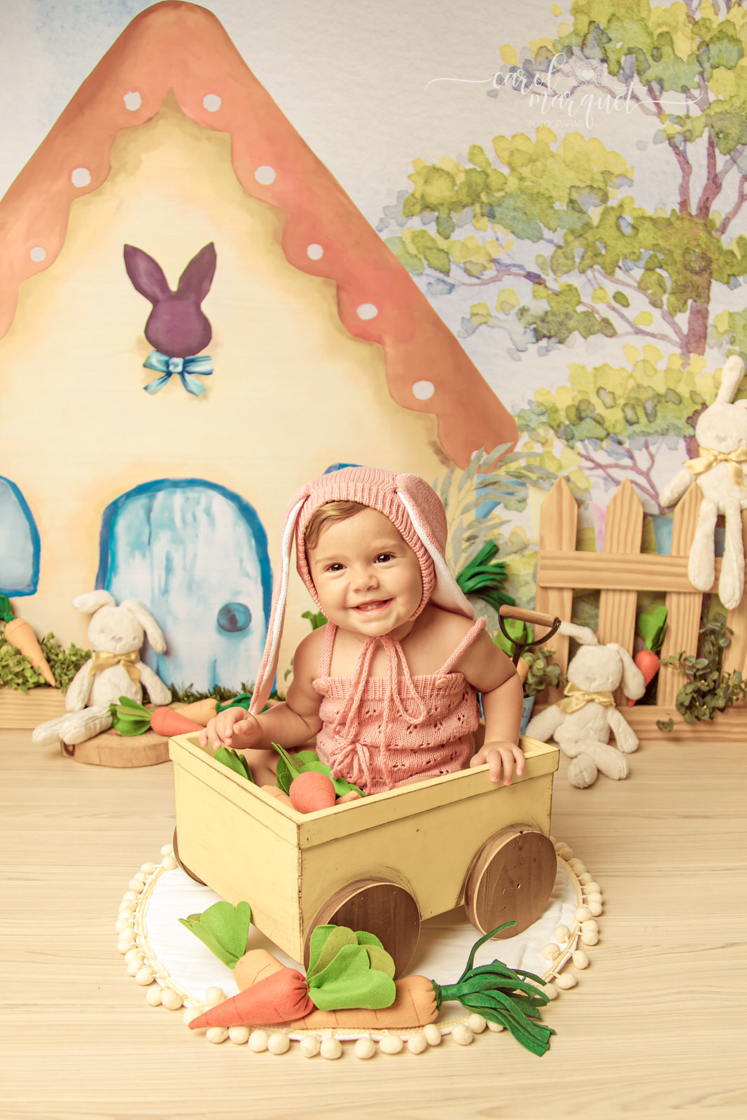 ensaio infantil acompanhamento trimestral mensal bebê fotografia temático páscoa coelho pooh puff amigurumi crochet crochê clean floresta jardim flor menina princesa Niterói Itaipu Região Oceânica Rio de Janeiro