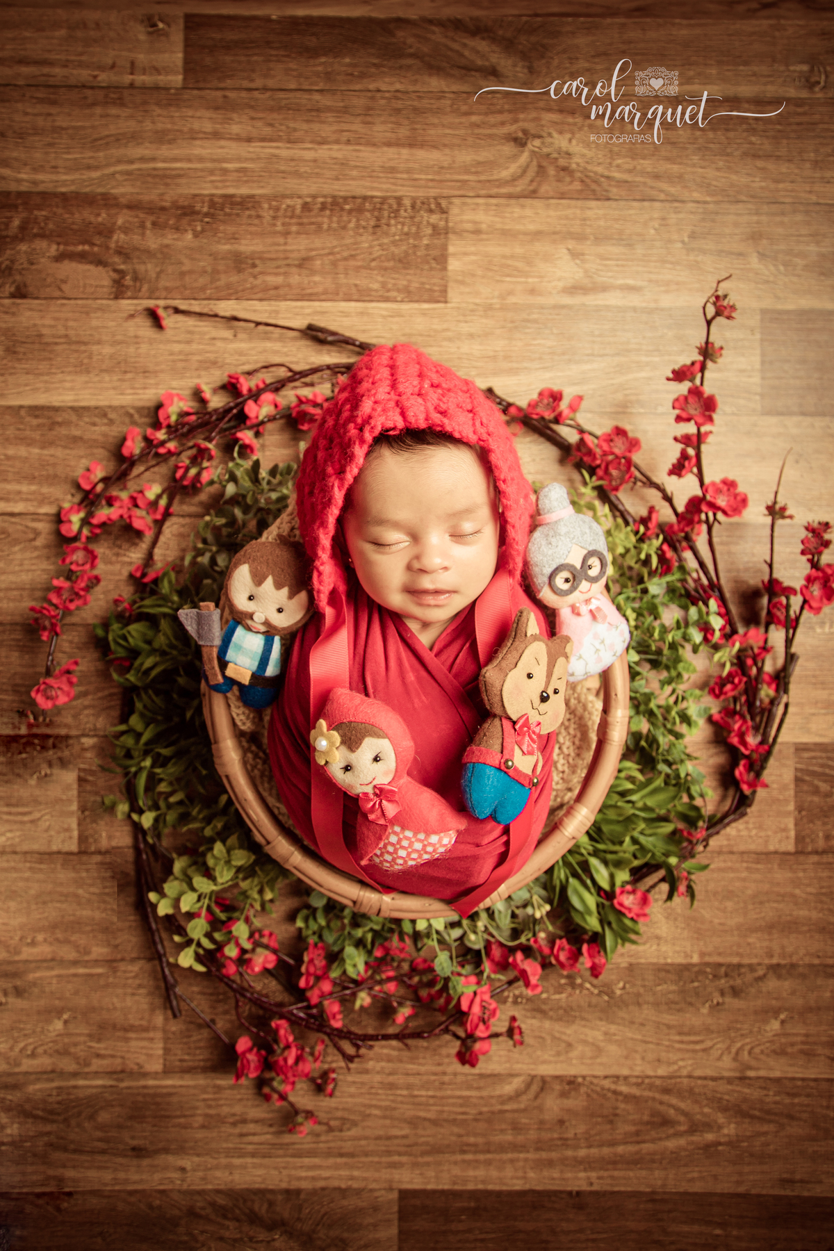 newborn recém nascido bebê neném ensaio fotográfico fotografia retrato família flores floresta jardim chapeuzinho vermelho viagem hightech beleza disney jiu jitsu mma luta livre boxe Niterói Itaipu Região Oceânica Rio de Janeiro