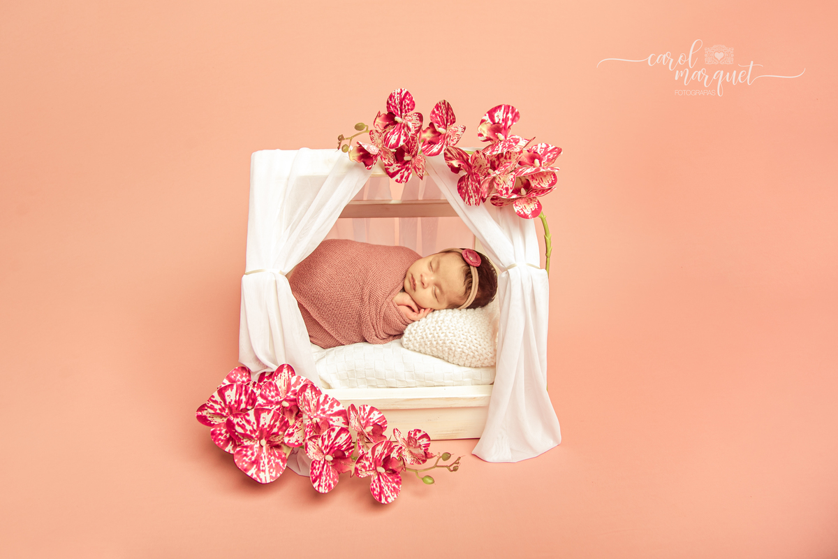 newborn recém nascido bebê neném ensaio fotográfico fotografia retrato família flores floresta jardim chapeuzinho vermelho viagem hightech beleza disney jiu jitsu mma luta livre boxe Niterói Itaipu Região Oceânica Rio de Janeiro