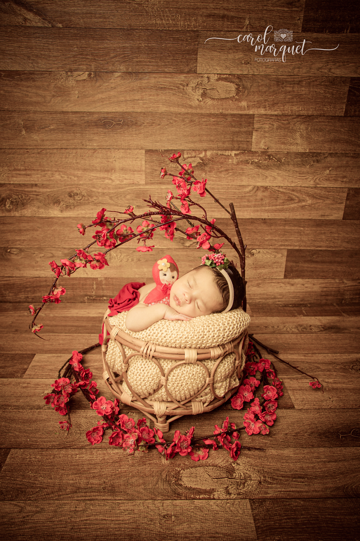 vnewborn recém nascido bebê neném ensaio fotográfico fotografia retrato família flores floresta jardim chapeuzinho vermelho viagem hightech beleza disney jiu jitsu mma luta livre boxe Niterói Itaipu Região Oceânica Rio de Janeiro