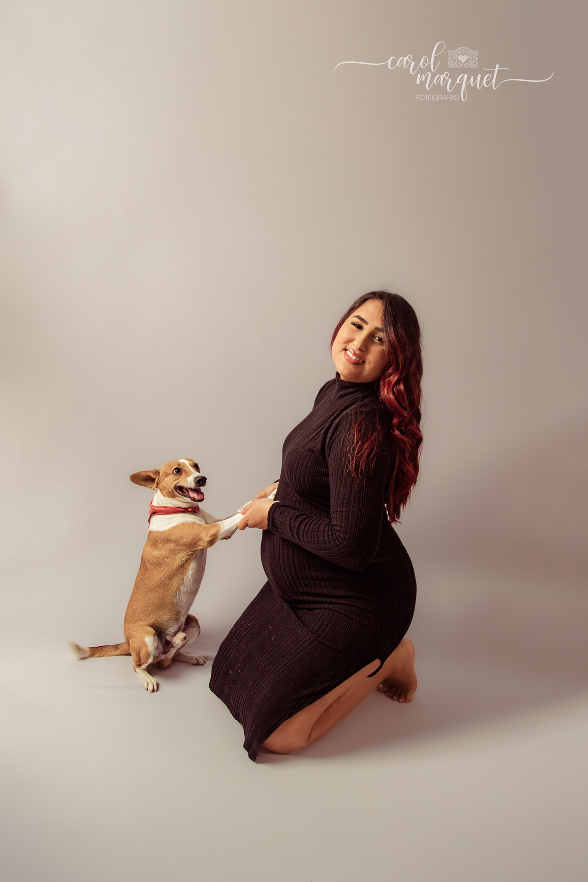 gestação gestante grávida ensaio fotográfico fotografia família cachorro doguitto bebê Niterói Rio de Janeiro Itaipu Região Oceânica