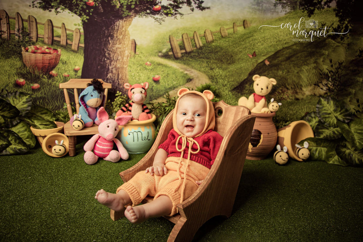 acompanhamento mensal trimestral bebê neném filho príncipe macramê amigurumi pooh ursinho puff Itaipu Niterói Região Ocêanica Rio de Janeiro crochet