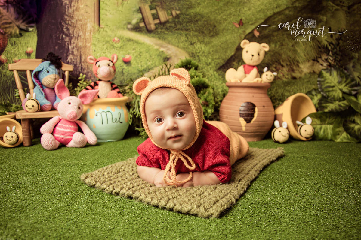 acompanhamento mensal trimestral bebê neném filho príncipe macramê amigurumi pooh ursinho puff Itaipu Niterói Região Ocêanica Rio de Janeiro crochet