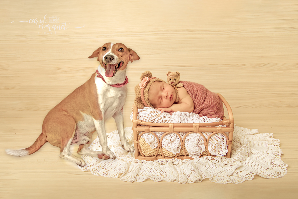 newborn recém nascido ensaio fotografia fotográfico harry potter amigurumi ursinho flores a família niterói itaipu região oceânica rio de janeiro