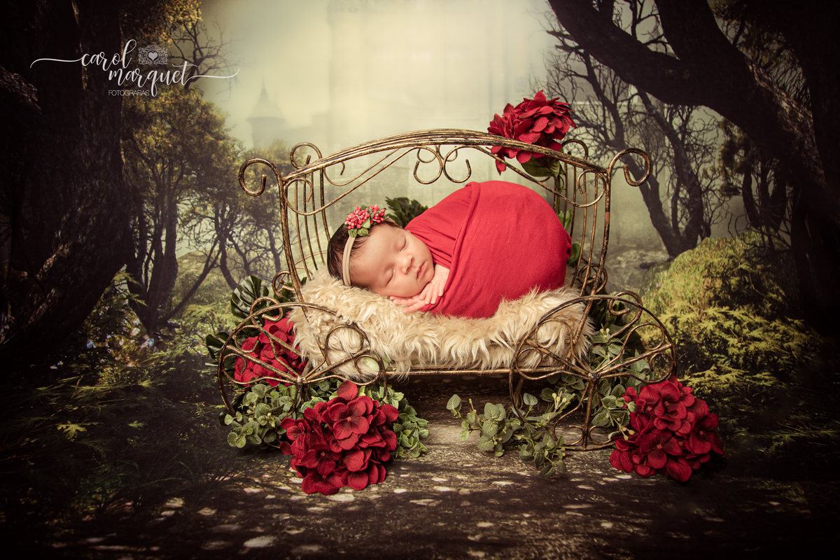newborn recém nascido ensaio fotográfico retrato floresta flores jardim princesa irmão família Niterói Itaipu Região Oceânica Rio de Janeiro estúdio