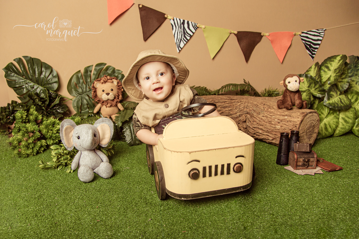 recém nascido bebê acompanhamento mensal trimestral floresta safari explorador aviador vintage retrô avião zoo Niterói Itaipu Região Oceânica Rio de Janeiro