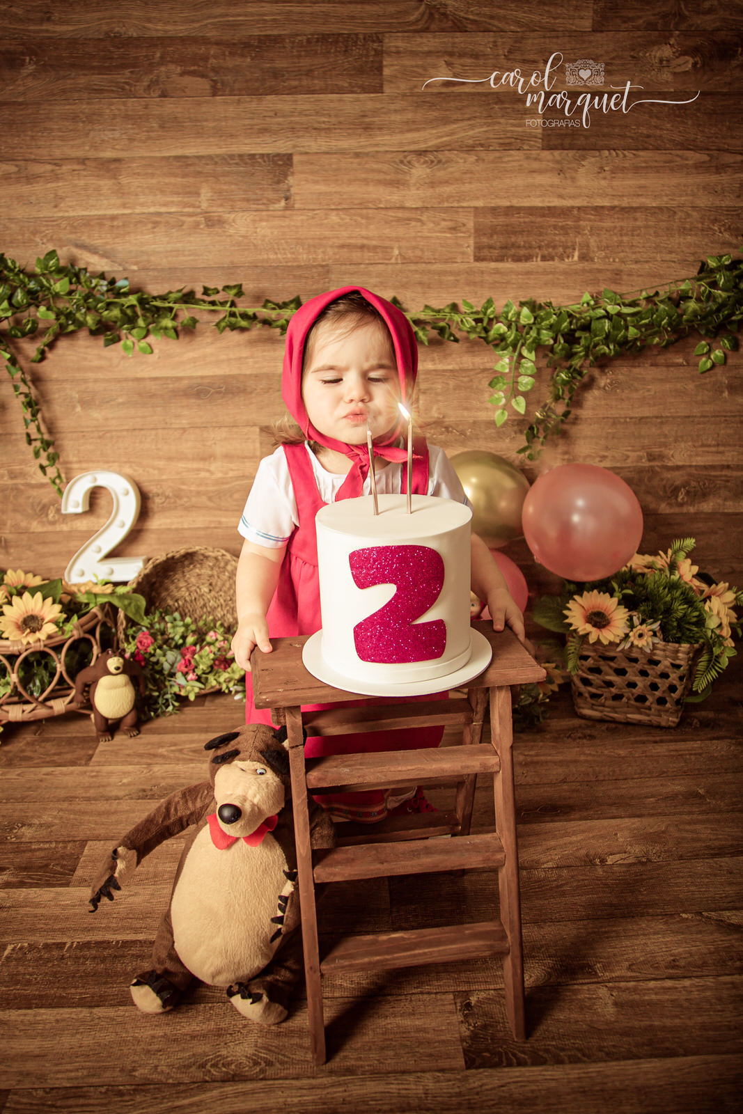 acompanhamento infantil bebê mensal trimestral aniversário Masha e o Urso Temático Itaipu Niterói Região Oceânica Rio de Janeiro flores floresta 2 anos