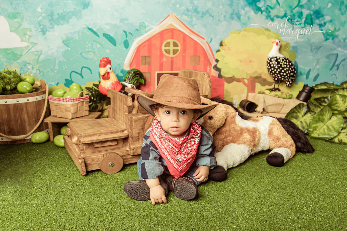 ensaio infantil acompanhamento mensal trimestral aviador crochê cowboy vaqueiro fazendeiro fazenda caipira cavalo curral família Niterói Itaipu Região Oceânica Rio de Janeiro