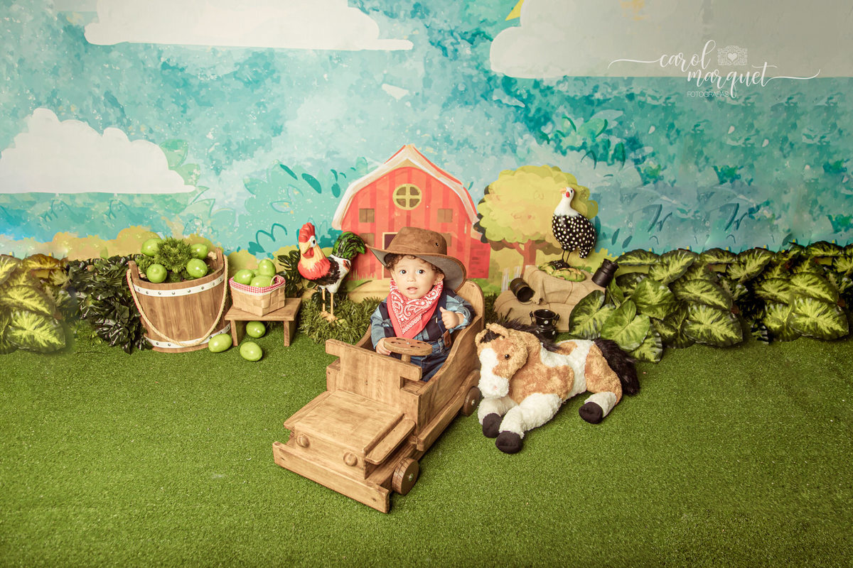 ensaio infantil acompanhamento mensal trimestral aviador crochê cowboy vaqueiro fazendeiro fazenda caipira cavalo curral família Niterói Itaipu Região Oceânica Rio de Janeiro