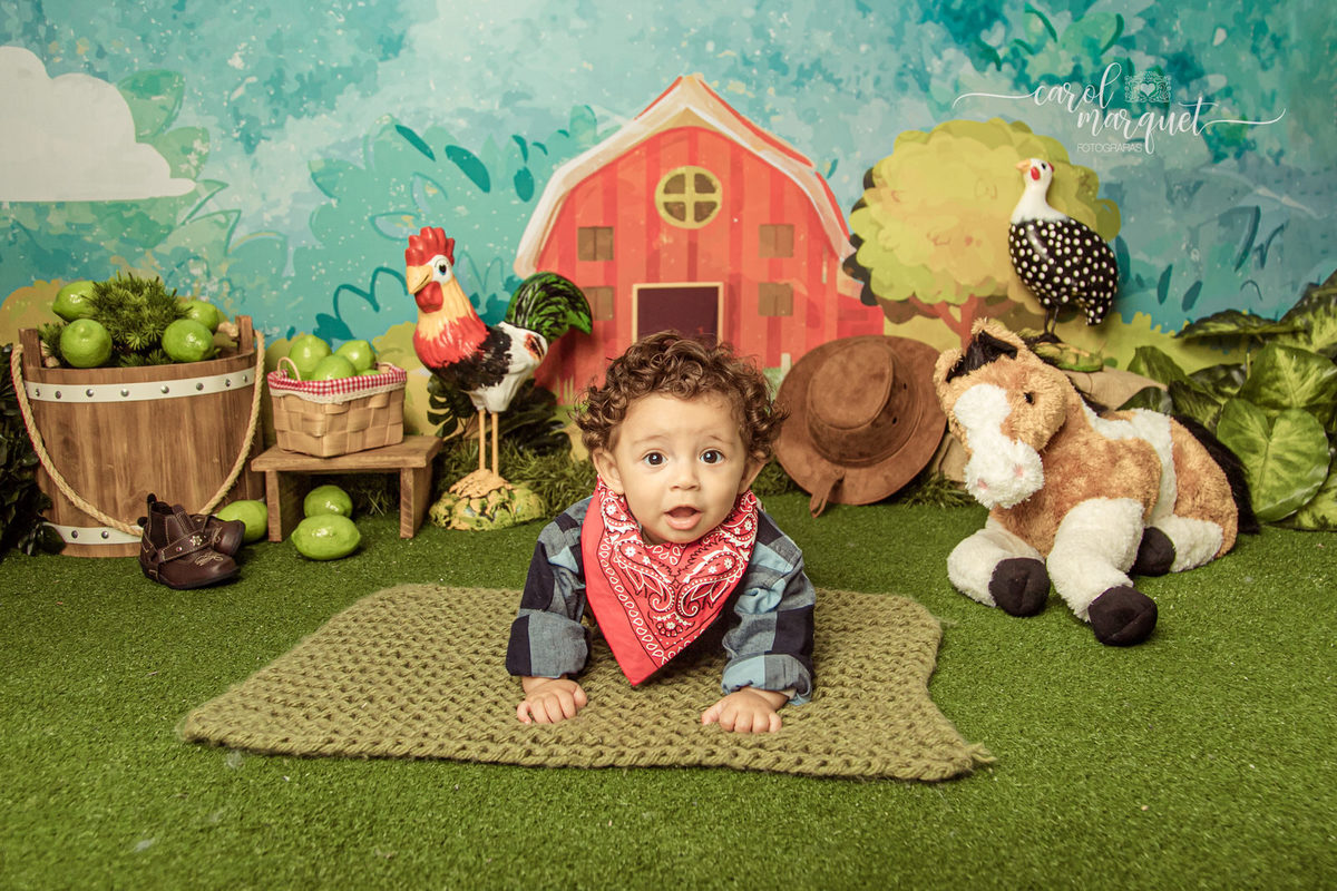 ensaio infantil acompanhamento mensal trimestral aviador crochê cowboy vaqueiro fazendeiro fazenda caipira cavalo curral família Niterói Itaipu Região Oceânica Rio de Janeiro
