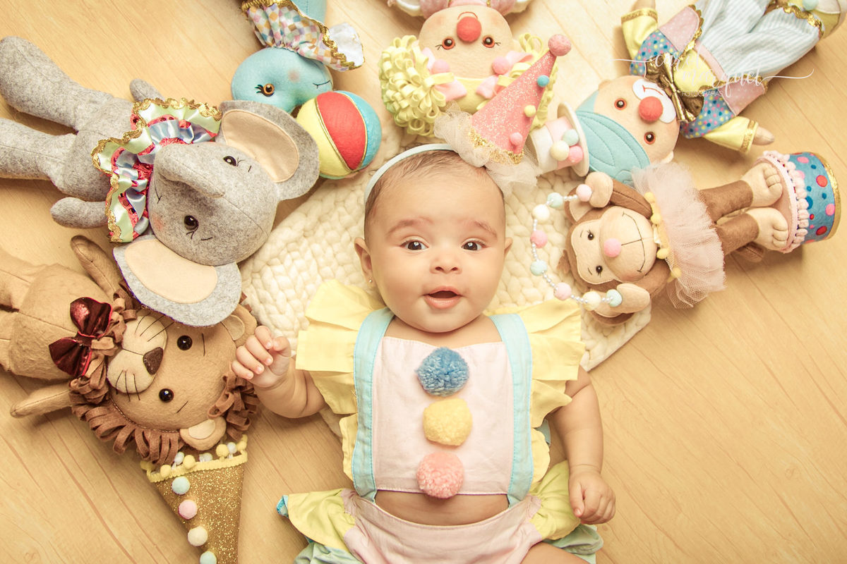 acompanhamento mensal trimestral bebê circo rosa princesa palhacinha menina Niterói Itaipu região Oceânica Rio de Janeiro família