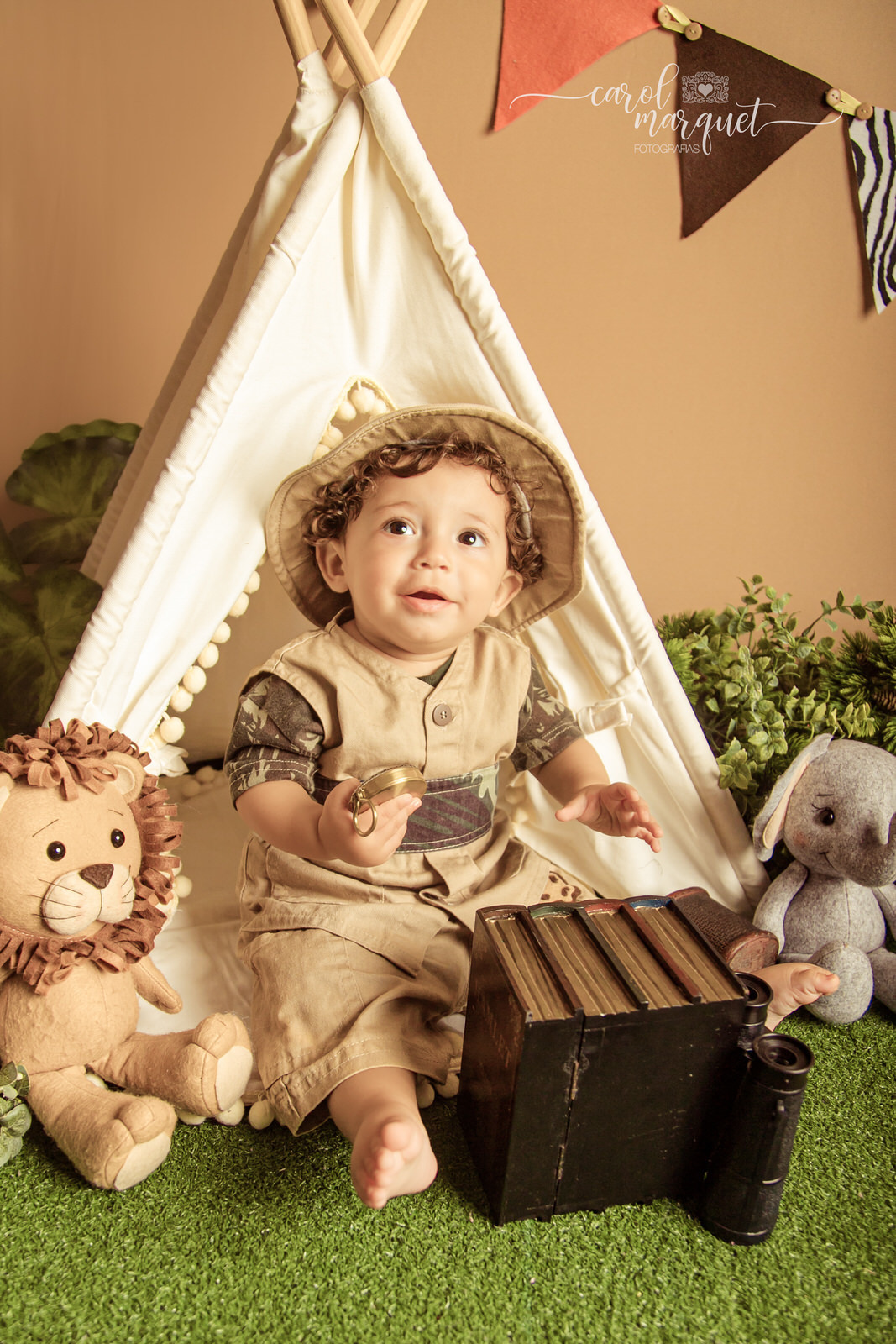 acompanhamento mensal trimestral infantil bebê safari floresta zoo aviador animais retrô vintage família Itaipu Região Oceânica Niterói  Rio de Janeiro