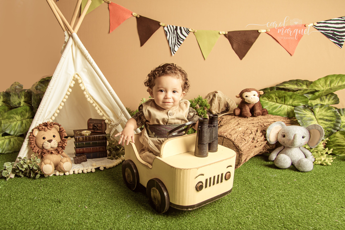 acompanhamento mensal trimestral infantil bebê safari floresta zoo aviador animais retrô vintage família Itaipu Região Oceânica Niterói  Rio de Janeiro