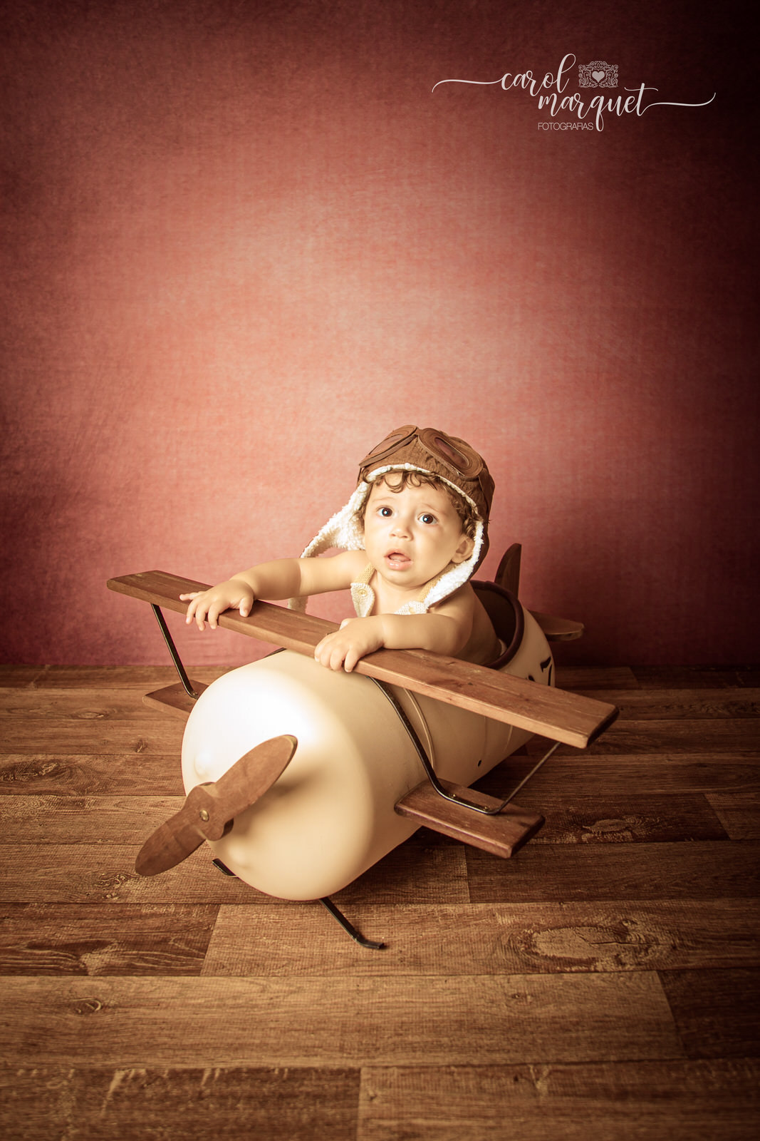 acompanhamento mensal trimestral infantil bebê safari floresta zoo aviador animais retrô vintage família Itaipu Região Oceânica Niterói  Rio de Janeiro