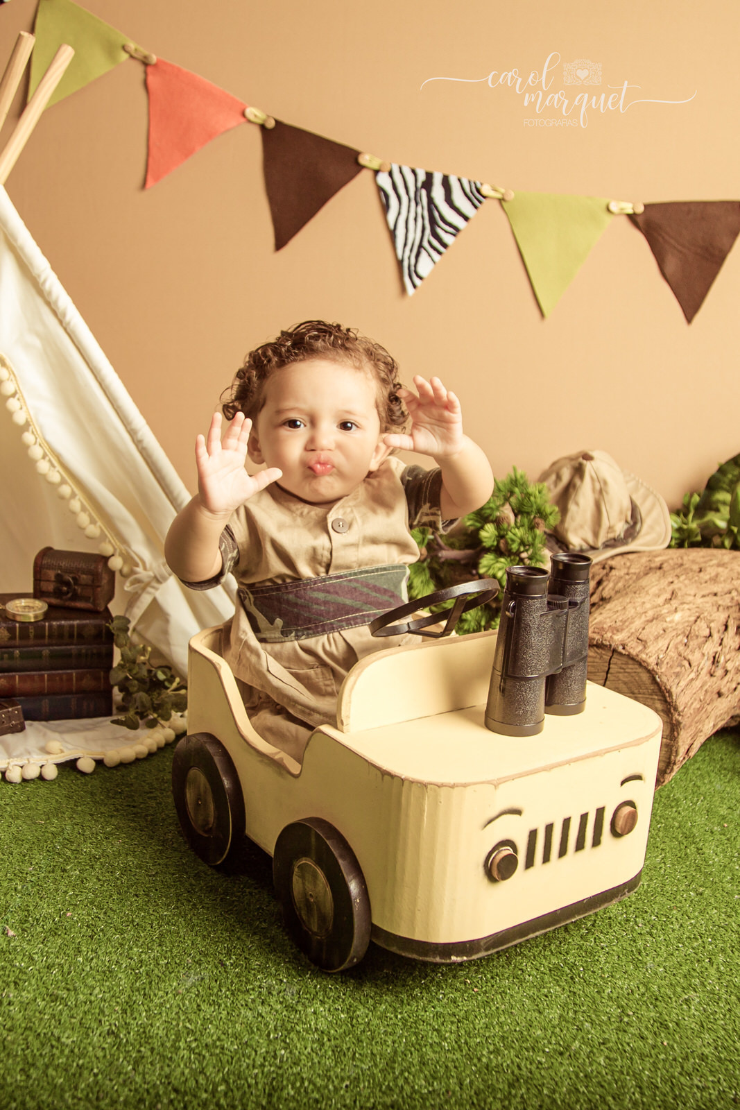 acompanhamento mensal trimestral infantil bebê safari floresta zoo aviador animais retrô vintage família Itaipu Região Oceânica Niterói  Rio de Janeiro