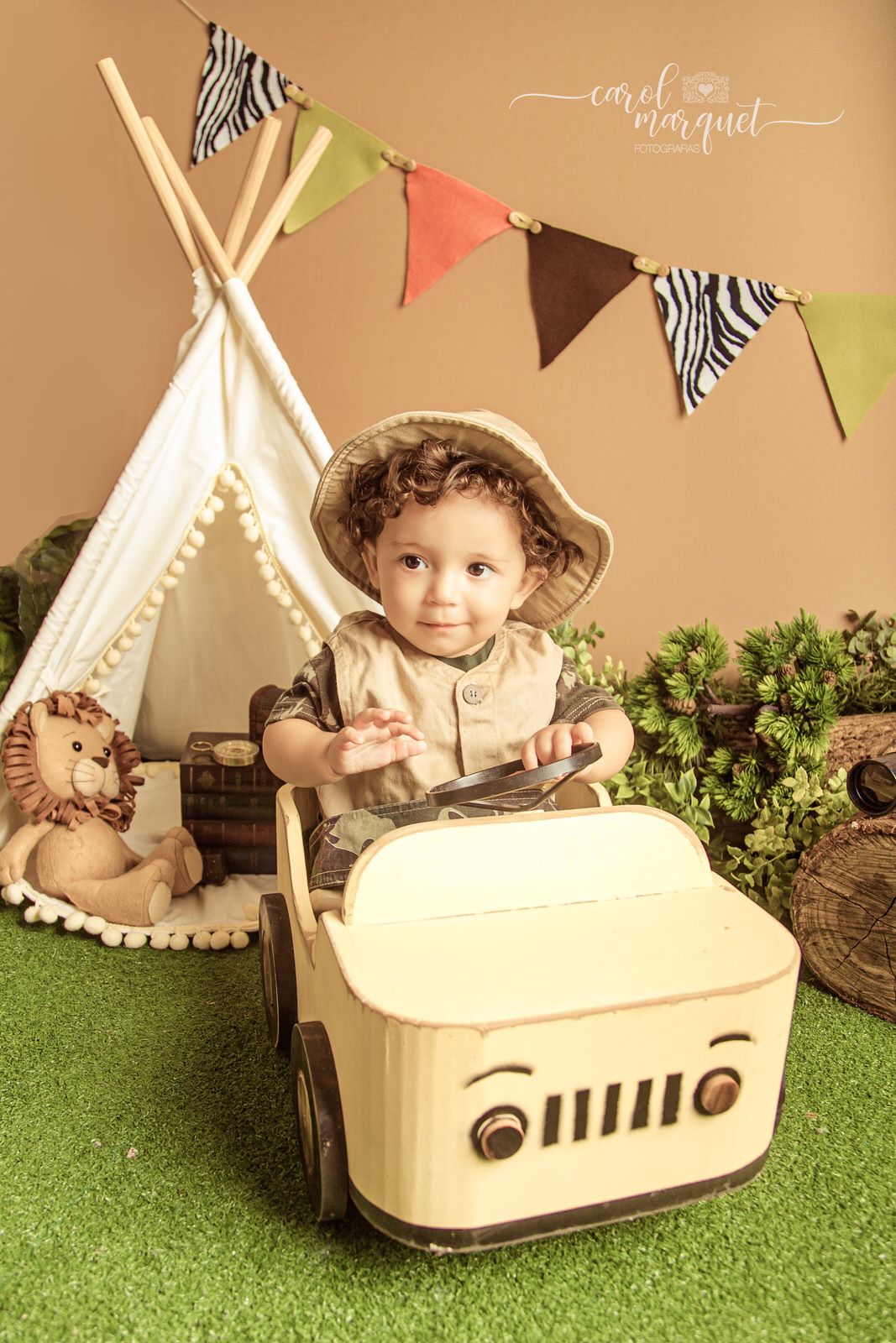 acompanhamento mensal trimestral infantil bebê safari floresta zoo aviador animais retrô vintage família Itaipu Região Oceânica Niterói  Rio de Janeiro