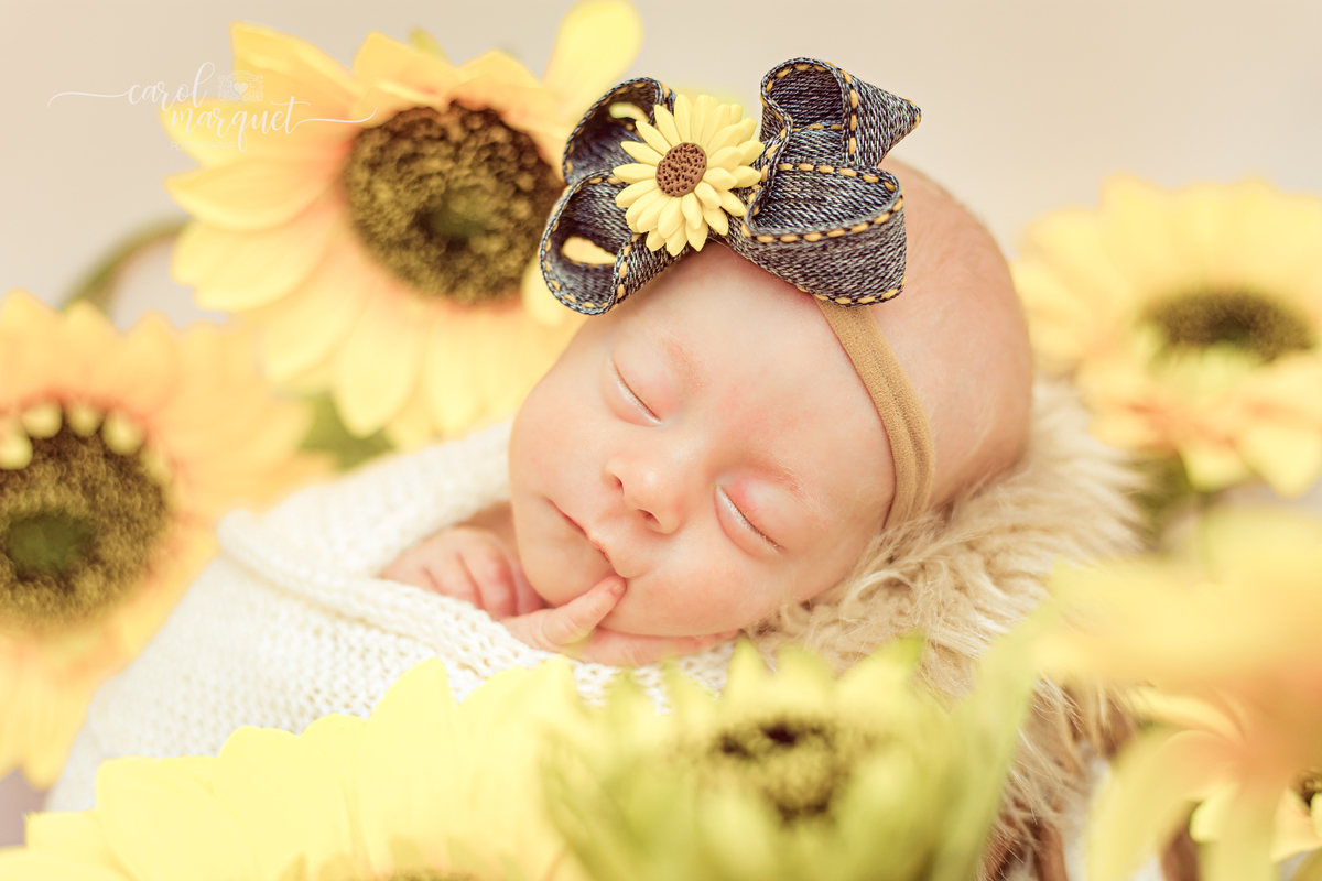 newborn recém nascido domicílio Rio de Janeiro Ipanema Itaipu Niterói família fotografia irmãs