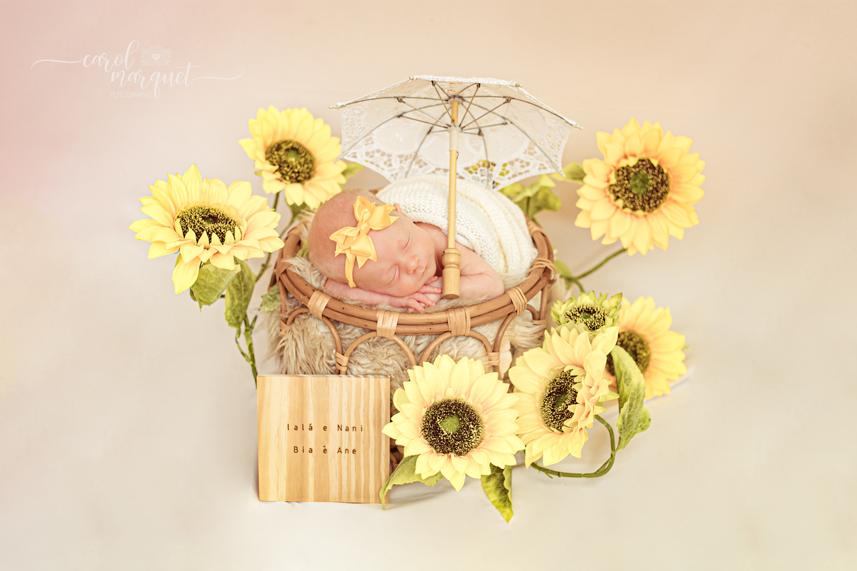 newborn recém nascido domicílio Rio de Janeiro Ipanema Itaipu Niterói família fotografia irmãs