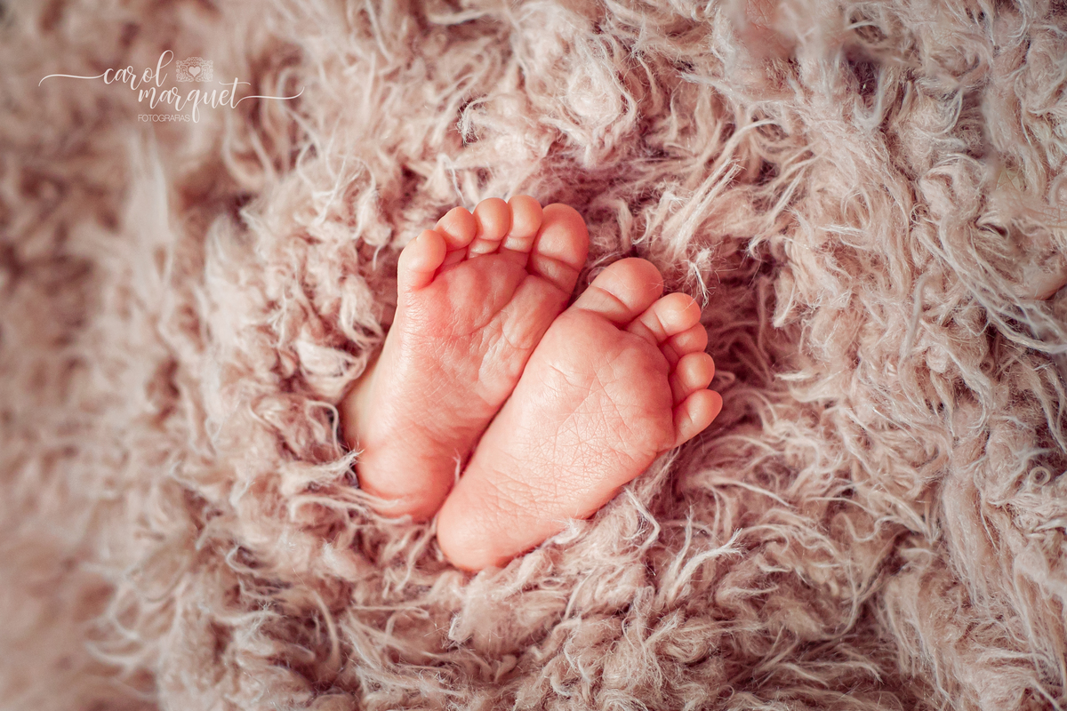 newborn recém nascido domicílio Rio de Janeiro Ipanema Itaipu Niterói família fotografia irmãs