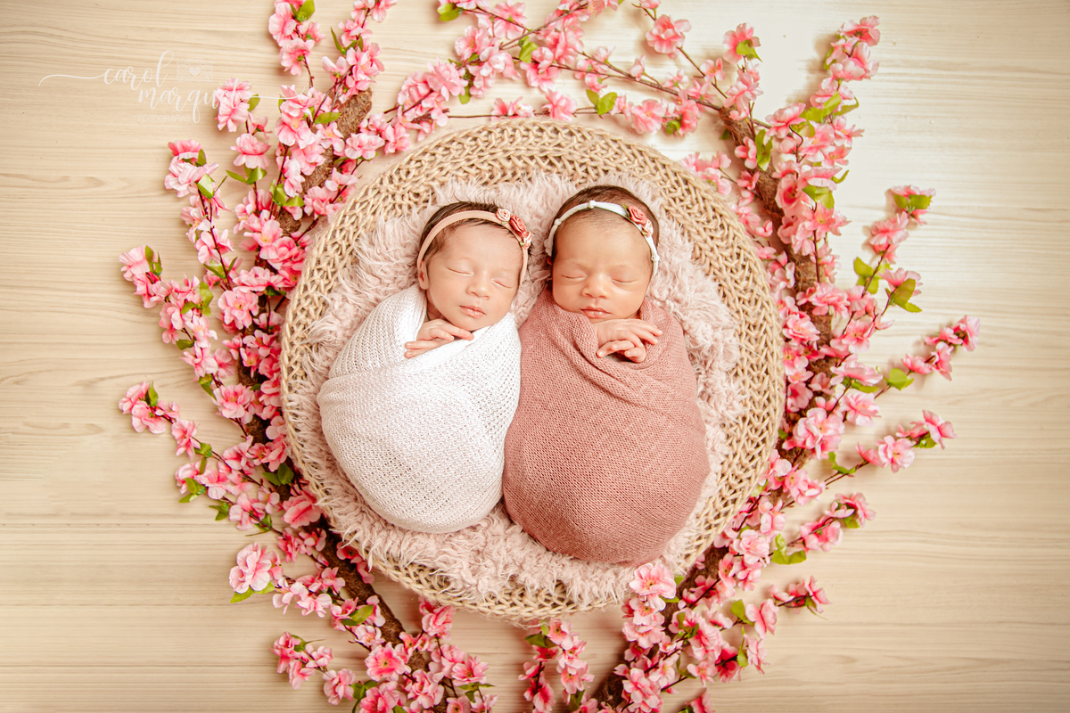 newborn recém nascidas bebês gêmeos gêmeas flores jardim floresta Harry Potter família univitelinas bi vitelinas 