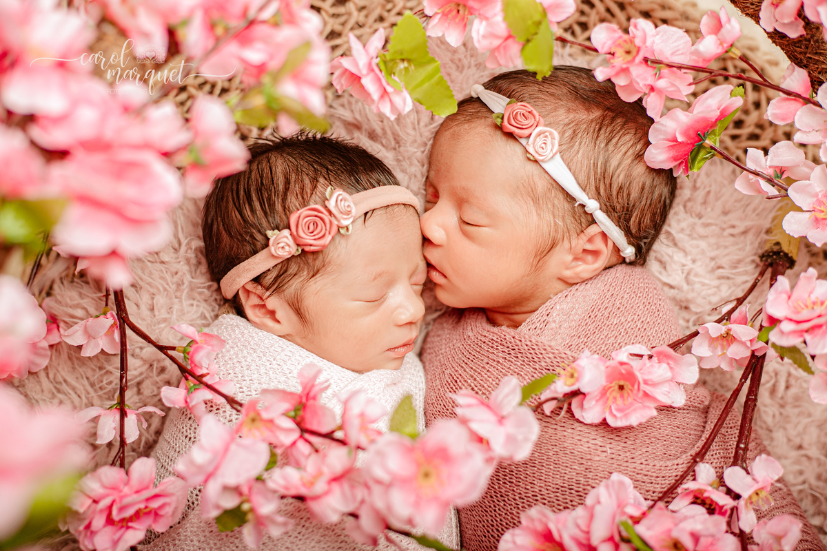 newborn recém nascidas bebês gêmeos gêmeas flores jardim floresta Harry Potter família univitelinas bi vitelinas 