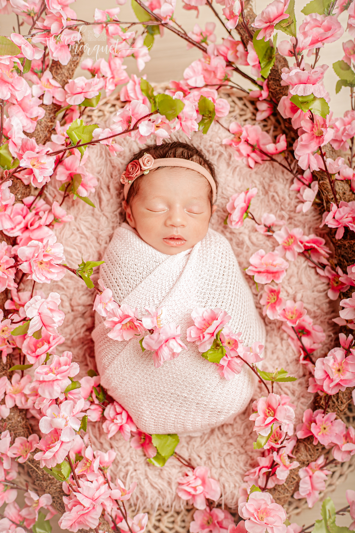 newborn recém nascidas bebês gêmeos gêmeas flores jardim floresta Harry Potter família univitelinas bi vitelinas 