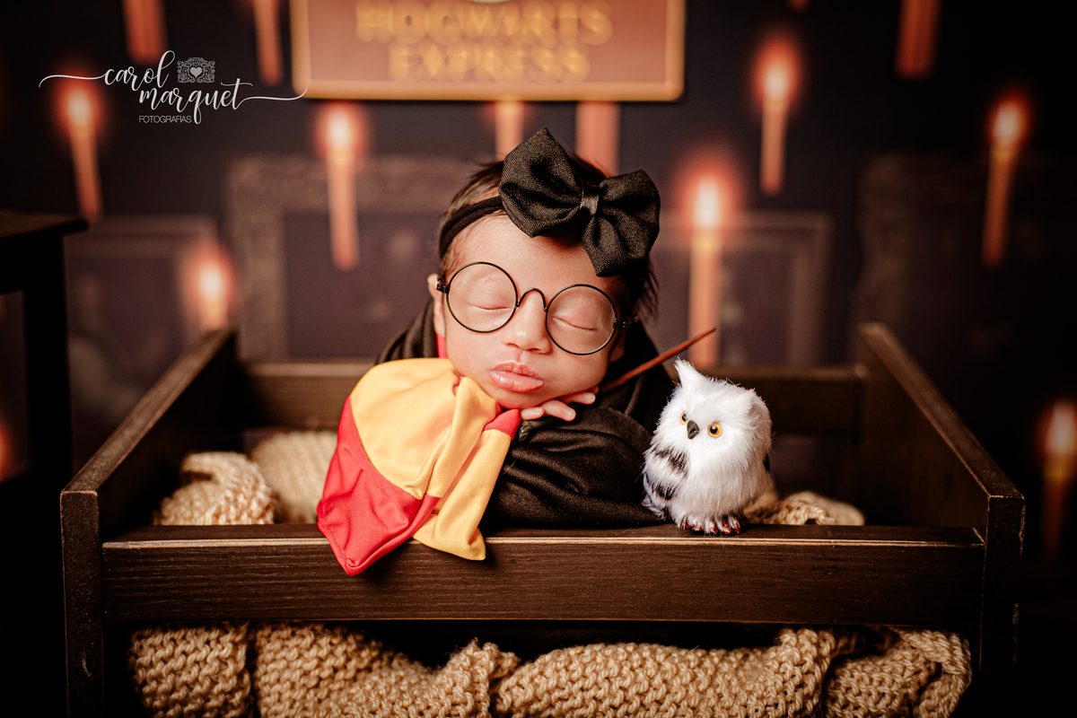 newborn recém nascidas bebês gêmeos gêmeas flores jardim floresta Harry Potter família univitelinas bi vitelinas 