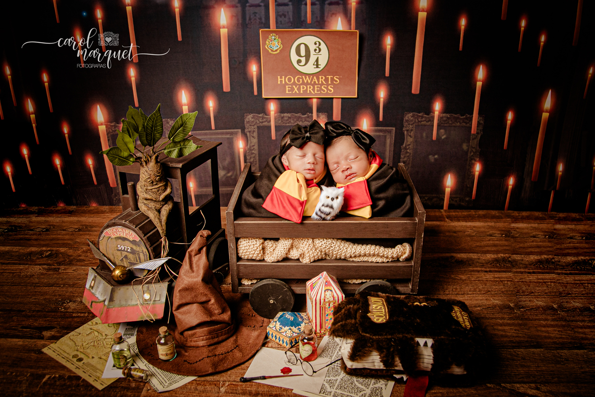 newborn recém nascidas bebês gêmeos gêmeas flores jardim floresta Harry Potter família univitelinas bi vitelinas 