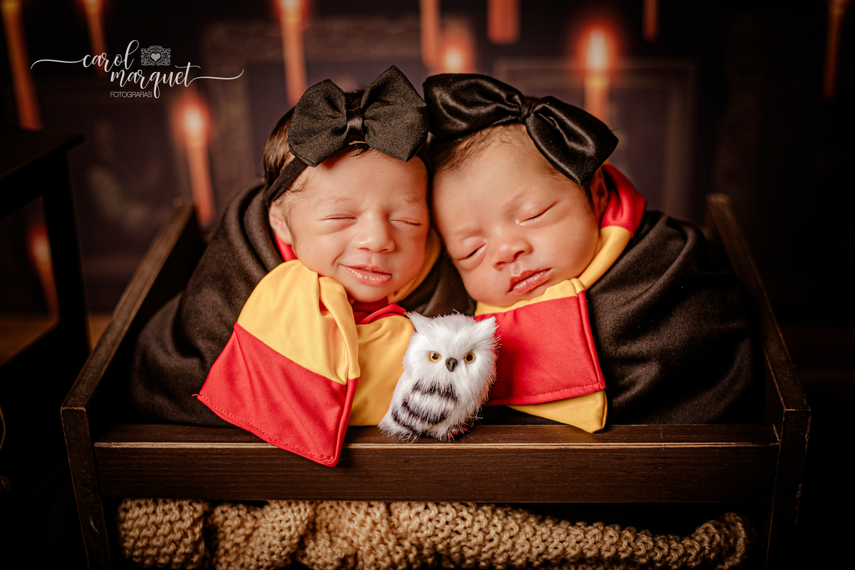 newborn recém nascidas bebês gêmeos gêmeas flores jardim floresta Harry Potter família univitelinas bi vitelinas 