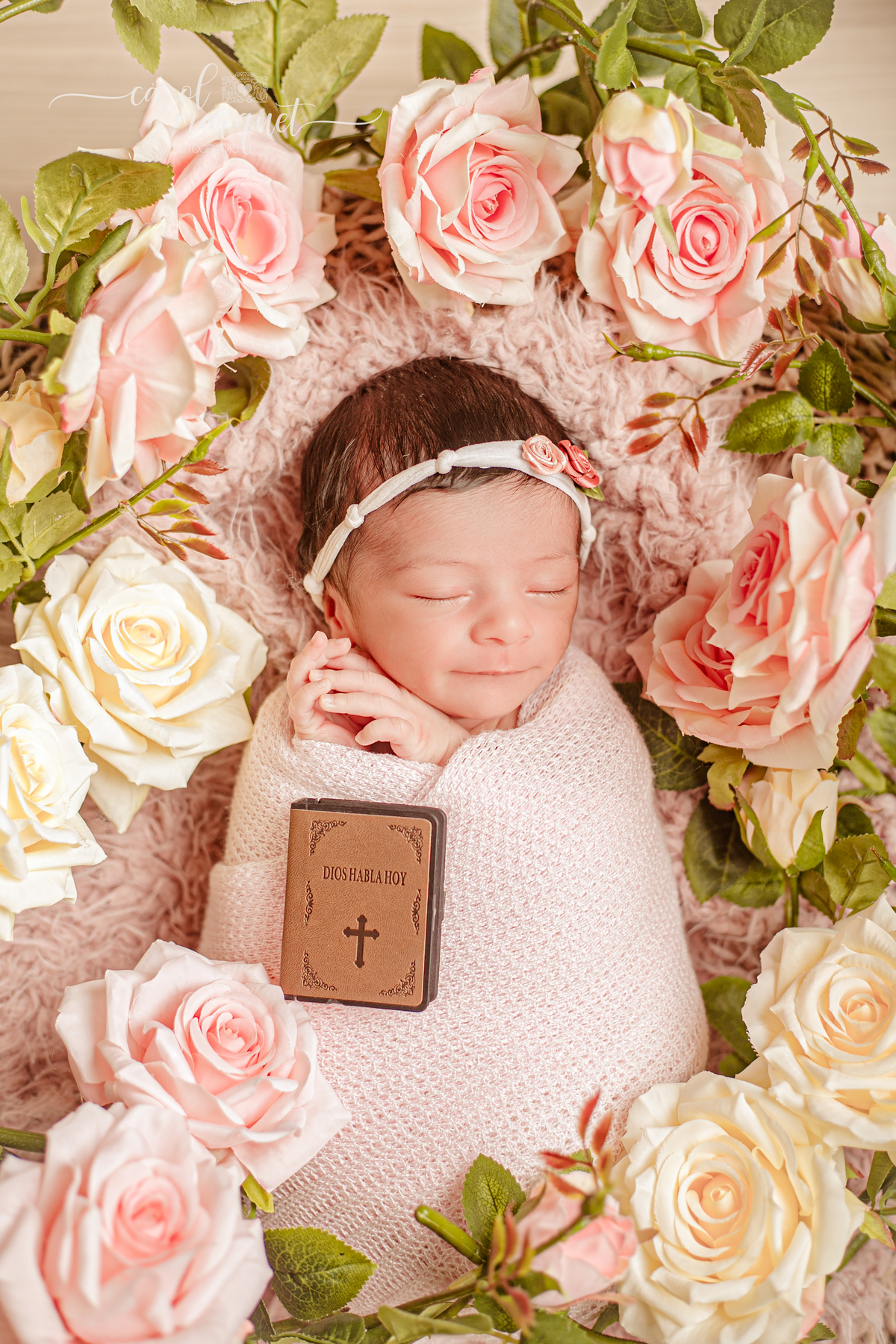 newborn recém nascidos bebê jardim flores harry potter chapeuzinho dourado beleza salão estética Itaipu Região Oceânica Rio de Janeiro Niterói