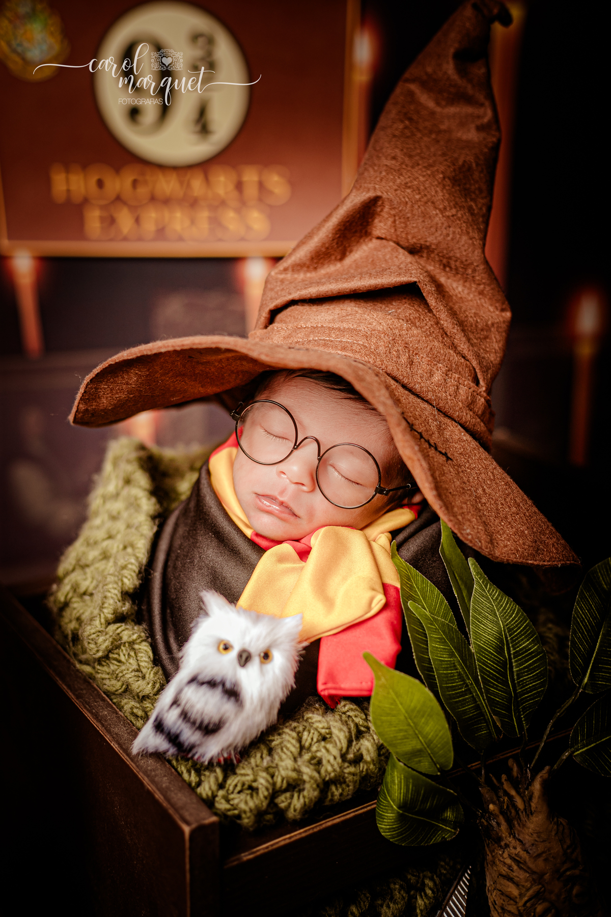 newborn recém nascidos bebê jardim flores harry potter chapeuzinho dourado beleza salão estética Itaipu Região Oceânica Rio de Janeiro Niterói