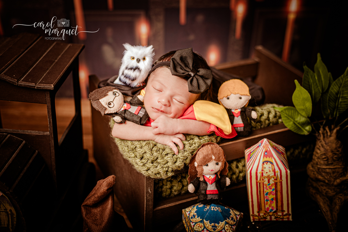 newborn recém nascidos bebê jardim flores harry potter chapeuzinho dourado beleza salão estética Itaipu Região Oceânica Rio de Janeiro Niterói