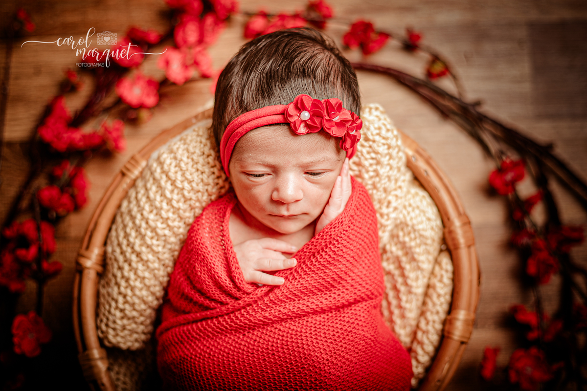 newborn recém nascidos bebê jardim flores harry potter chapeuzinho dourado beleza salão estética Itaipu Região Oceânica Rio de Janeiro Niterói