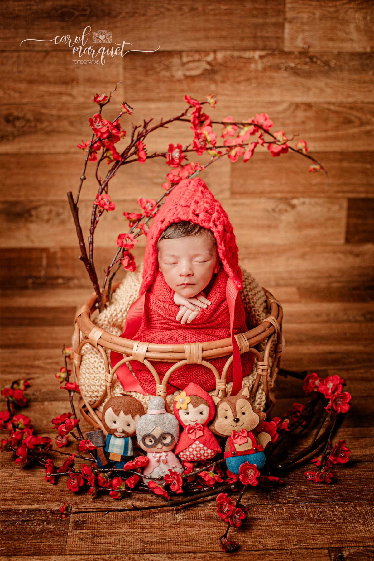 newborn recém nascidos bebê jardim flores harry potter chapeuzinho dourado beleza salão estética Itaipu Região Oceânica Rio de Janeiro Niterói