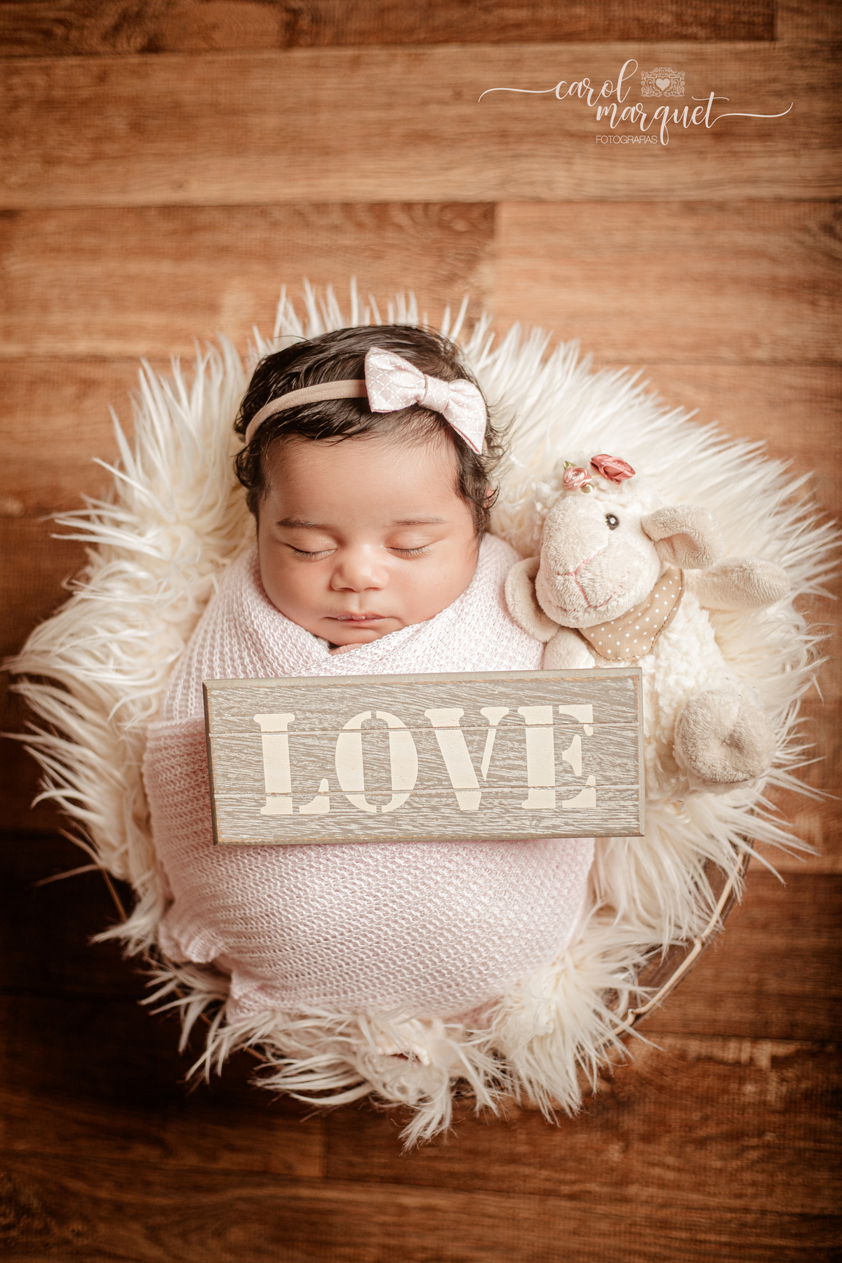 newborn recém nascido ensaio fotográfico retrato irmã bebê beleza girassol flor floresta jardim família Niterói Rio de Janeiro Região Oceânica Itaipu