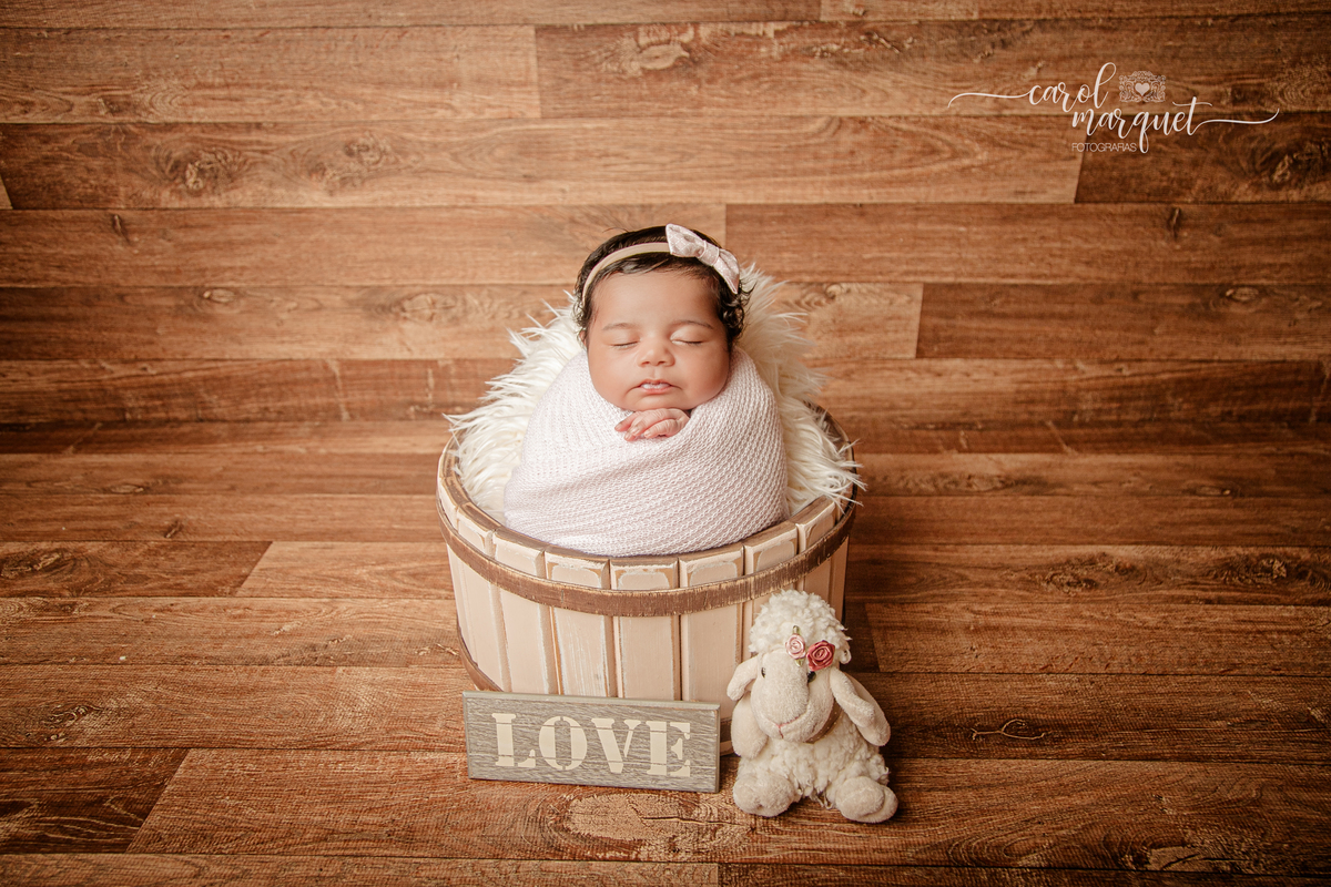 newborn recém nascido ensaio fotográfico retrato irmã bebê beleza girassol flor floresta jardim família Niterói Rio de Janeiro Região Oceânica Itaipu