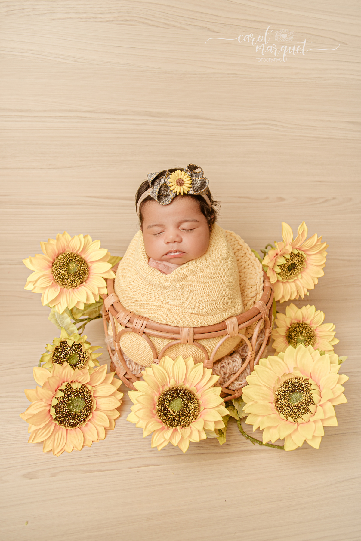 newborn recém nascido ensaio fotográfico retrato irmã bebê beleza girassol flor floresta jardim família Niterói Rio de Janeiro Região Oceânica Itaipu