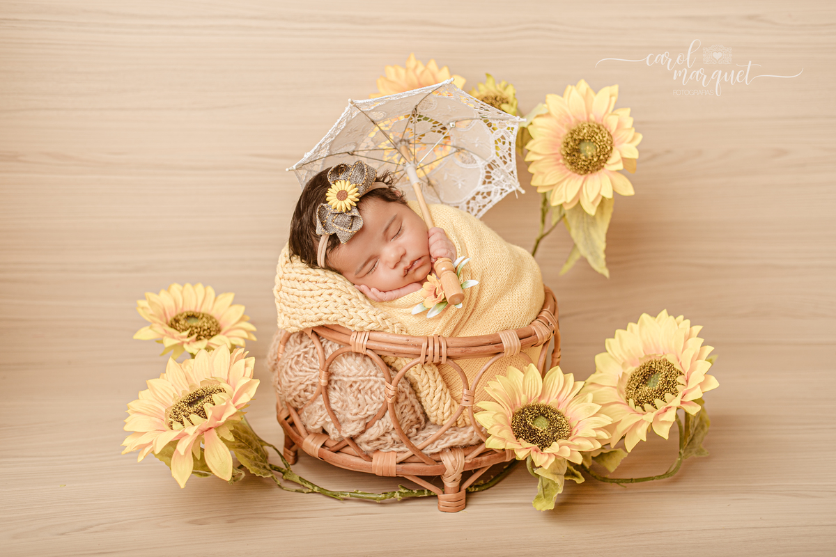 newborn recém nascido ensaio fotográfico retrato irmã bebê beleza girassol flor floresta jardim família Niterói Rio de Janeiro Região Oceânica Itaipu