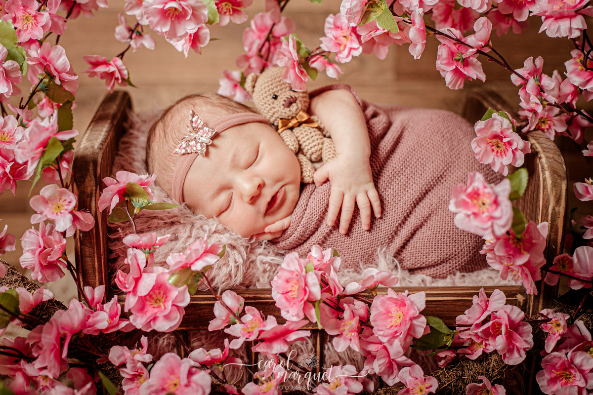 newborn recém nascida bebê neném criança baby fotografia ensaio fotográfico flores jardim anjo Deus católico evangélico beleza viagem Niterói Rio de Janeiro Itaipu Região Oceânica