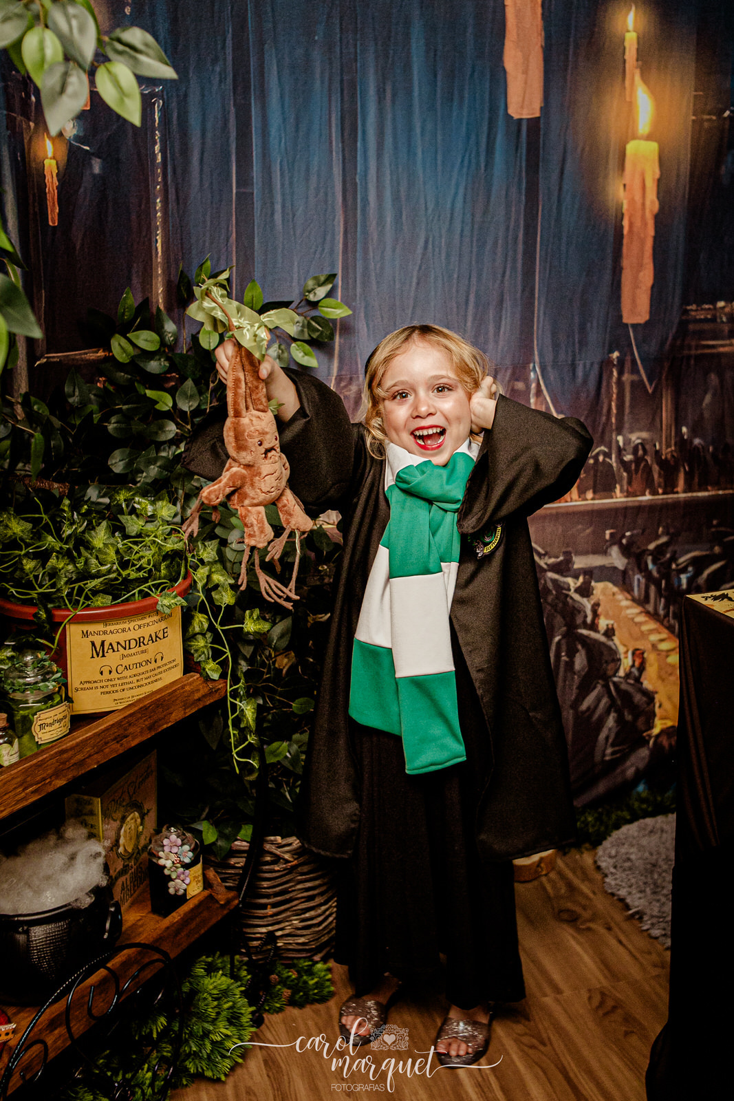 Esepcial Harry Potter Hermione Roni Weasley bruxo trouxa magia Edwiges Dumbledore Hoghwarts Quadribol Grifinória Lufa-lufa Corvinal Sonserina Niterói Riode Janeiro Itaipu Região Oceânica infantil família mandrágora pomo dourado pedra filosofal varinha