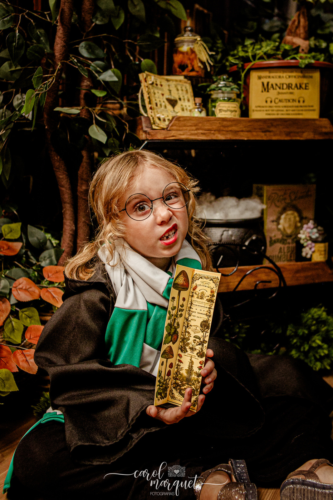 Esepcial Harry Potter Hermione Roni Weasley bruxo trouxa magia Edwiges Dumbledore Hoghwarts Quadribol Grifinória Lufa-lufa Corvinal Sonserina Niterói Riode Janeiro Itaipu Região Oceânica infantil família mandrágora pomo dourado pedra filosofal varinha