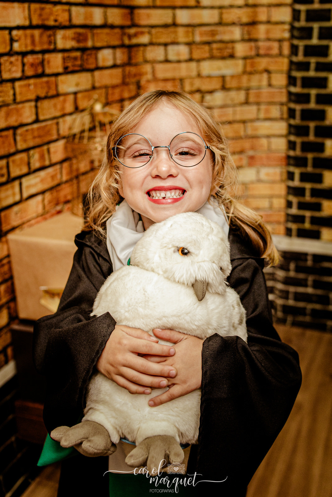 Esepcial Harry Potter Hermione Roni Weasley bruxo trouxa magia Edwiges Dumbledore Hoghwarts Quadribol Grifinória Lufa-lufa Corvinal Sonserina Niterói Riode Janeiro Itaipu Região Oceânica infantil família mandrágora pomo dourado pedra filosofal varinha