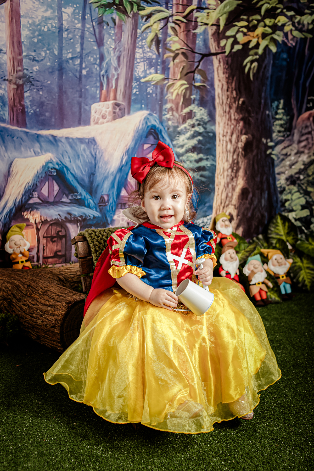 ensaio temático fotografia aniversário 1 ano festa Branca de Neve 7 anôes floresta flor princesa disney luxo ambientado Niterói Itaipu Região Oceânica