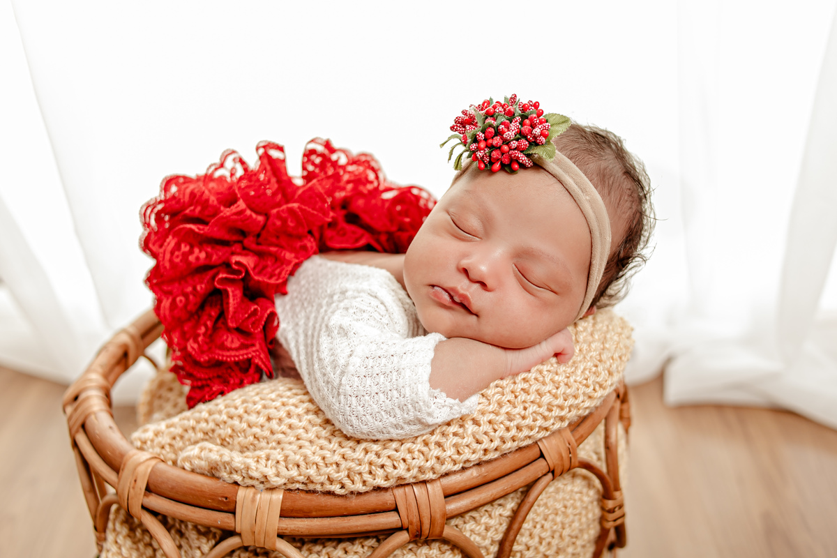 newborn menina flor princesa família irmão irmã irmãos lilás rosa vermelho Deus divina amigurumi niterói região oceânica rio de janeiro recém nascido ensaio fotográfico fotografia retrato