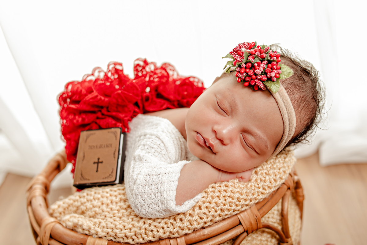 newborn menina flor princesa família irmão irmã irmãos lilás rosa vermelho Deus divina amigurumi niterói região oceânica rio de janeiro recém nascido ensaio fotográfico fotografia retrato