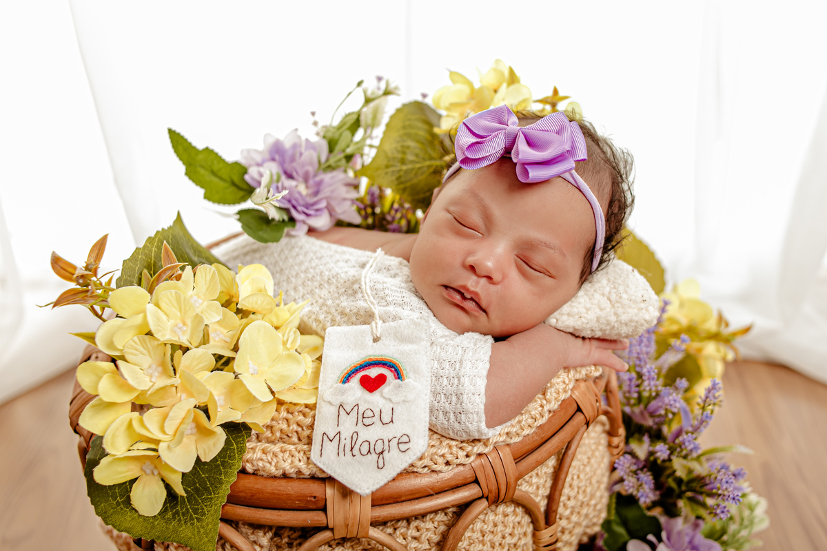 newborn menina flor princesa família irmão irmã irmãos lilás rosa vermelho Deus divina amigurumi niterói região oceânica rio de janeiro recém nascido ensaio fotográfico fotografia retrato